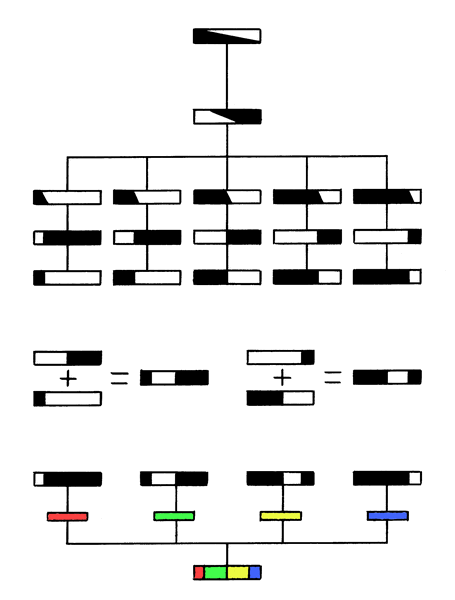 Grafik mit Grau-Evolution bis zu reinem Schwarzweiß